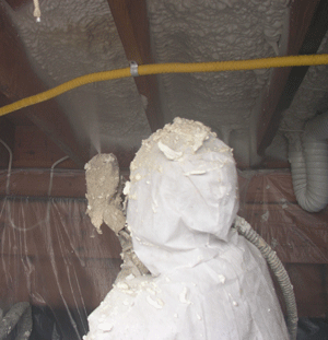 Thorton IA crawl space insulation
